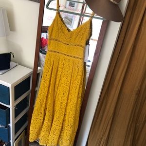 NSR Lace Midi Sundress